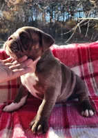 processed/75169af1-0d2d-4978-8a62-f237cbcac6d1/facility/dff725c3-b0a3-4681-98a8-b1b9a9511c96