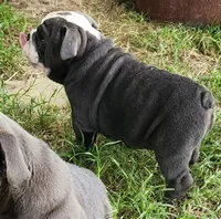 processed/75169af1-0d2d-4978-8a62-f237cbcac6d1/facility/e9f0b9f2-110f-4672-9c15-439e579d8dc4