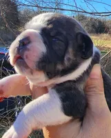 processed/75169af1-0d2d-4978-8a62-f237cbcac6d1/facility/f9999f57-f0a0-4722-bcdd-e63d2a7f5951