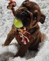 processed/75169af1-0d2d-4978-8a62-f237cbcac6d1/listing/d9d180b9-d24e-48f8-8299-52201208cbd4/3e9b9aa3-c2d3-467a-bdba-c4a2c03cf574