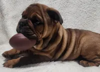 processed/75169af1-0d2d-4978-8a62-f237cbcac6d1/listing/d9d180b9-d24e-48f8-8299-52201208cbd4/5e166f76-a655-4657-ab6e-4e7c05604c7d