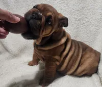 processed/75169af1-0d2d-4978-8a62-f237cbcac6d1/listing/d9d180b9-d24e-48f8-8299-52201208cbd4/63862a01-0933-4c29-b6ca-03591e014b30