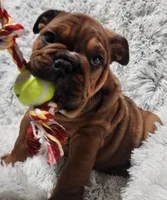 processed/75169af1-0d2d-4978-8a62-f237cbcac6d1/listing/d9d180b9-d24e-48f8-8299-52201208cbd4/8490ab7a-12e8-4df4-917f-684075730572