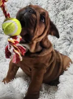 processed/75169af1-0d2d-4978-8a62-f237cbcac6d1/listing/d9d180b9-d24e-48f8-8299-52201208cbd4/a4a1bfca-775c-40a5-aba8-5bf58e13728f