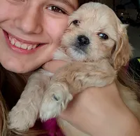 processed/75173aee-274c-424e-8437-cabcd2b78854/listing/3ab35c63-4460-456a-b499-44eb4835470b/3ab2563c-10cc-418c-9489-542f5f1f2cb1