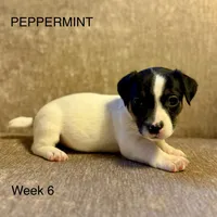 processed/751f7016-0700-4b0d-bf8e-c83d80c6e6de/listing/bd7ee721-ee1f-49b0-b3b5-8b1a00c26958/b14f5bee-978b-4f9a-aa08-1f098381e2ad