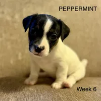 processed/751f7016-0700-4b0d-bf8e-c83d80c6e6de/listing/bd7ee721-ee1f-49b0-b3b5-8b1a00c26958/b5b60c35-fd8f-4898-927b-ce49a304f95e