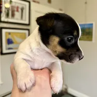 processed/751f7016-0700-4b0d-bf8e-c83d80c6e6de/listing/d9a3139e-0c31-4be2-9049-d4e555f5b099/324e6bf8-ea46-4ec2-bf01-f8bdb0cbc8f2