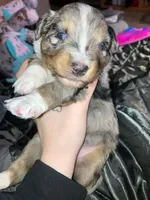 processed/75218184-5164-4b73-ad9f-3c4855d12d08/listing/a4561440-1a1e-49d7-8833-3cd4710fe685/609c4965-8bb0-4665-96a6-ed97f72323f6