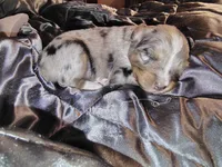 processed/75218184-5164-4b73-ad9f-3c4855d12d08/listing/a4561440-1a1e-49d7-8833-3cd4710fe685/d2d4a319-aae5-4366-a6eb-1b5a281a4587