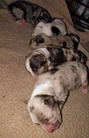 processed/75218184-5164-4b73-ad9f-3c4855d12d08/listing/a4561440-1a1e-49d7-8833-3cd4710fe685/e6d1f722-b72d-4ff3-bbe5-a31f5ff7149f