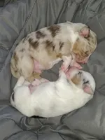 processed/75218184-5164-4b73-ad9f-3c4855d12d08/listing/bf103fac-1440-469b-8caa-76338e7118bd/5e737260-eea3-4331-b2ea-2244843b78ce