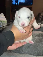 processed/75218184-5164-4b73-ad9f-3c4855d12d08/listing/bf103fac-1440-469b-8caa-76338e7118bd/6e0133ed-5bda-4b56-bbc0-7b269c555e8f