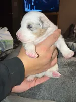 processed/75218184-5164-4b73-ad9f-3c4855d12d08/listing/bf103fac-1440-469b-8caa-76338e7118bd/c3bc2f84-071f-4736-8fb3-83e3fb472da4