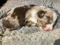 processed/75218184-5164-4b73-ad9f-3c4855d12d08/listing/ce060b0a-f618-4a48-b6a1-8fd60384c5d6/df6d8444-03e5-4d79-bcfd-787d7596b3d0