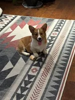 processed/7538f129-db89-4358-86ac-442c8acd52bd/facility/2499807f-b46d-4e37-9dbb-3b4125bbb77e