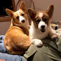 processed/7538f129-db89-4358-86ac-442c8acd52bd/facility/9da25e06-9998-41b4-8be6-78658205e821