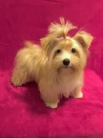 processed/753a18ab-f97b-4dc8-8ea2-19c8fc603bc5/facility/1077e2fa-8999-4805-92c2-98a6dfce28af