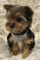 processed/753a18ab-f97b-4dc8-8ea2-19c8fc603bc5/facility/113fe293-f76f-4001-bb83-e491a6a7bcb4