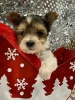 processed/753a18ab-f97b-4dc8-8ea2-19c8fc603bc5/facility/14b80dc7-3d4c-4cbd-88b3-2befc3e61934