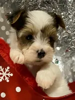 processed/753a18ab-f97b-4dc8-8ea2-19c8fc603bc5/facility/1ad8e2c3-e1c2-428a-b1c0-2ae32bf52575