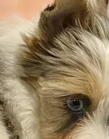 processed/753a18ab-f97b-4dc8-8ea2-19c8fc603bc5/facility/50865601-b228-4939-b1d9-d1a077c23b92