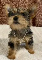 processed/753a18ab-f97b-4dc8-8ea2-19c8fc603bc5/facility/5f816cb9-9e37-4092-813d-cc3b2753fbcc