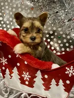 processed/753a18ab-f97b-4dc8-8ea2-19c8fc603bc5/facility/9d1d3b73-cf64-4e86-835d-8f9c98e5a114