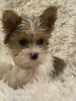 processed/753a18ab-f97b-4dc8-8ea2-19c8fc603bc5/facility/9f7c2b49-15af-4c1a-94f5-e49890e15429