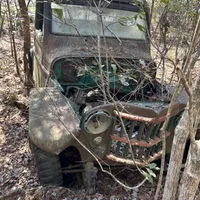 Drax, a male Siberian Husky for sale in Summerville, SC – Photo 2 of 2