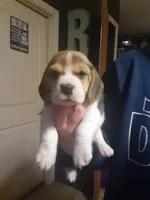 processed/75567ce4-8dbc-4e78-9b94-ea557de2c337/facility/0368ba96-d64a-4d22-b285-f3cfc535e806