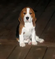 processed/75567ce4-8dbc-4e78-9b94-ea557de2c337/facility/90e6fbdb-e998-45df-bdc6-46815964b49d