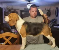 processed/75567ce4-8dbc-4e78-9b94-ea557de2c337/facility/9bd9ec74-fcb1-43f3-bb1c-8676054075ed