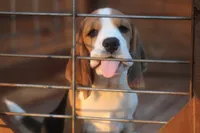 processed/75567ce4-8dbc-4e78-9b94-ea557de2c337/facility/e2e07ab7-75ba-4841-bd07-dc305277a21b