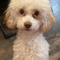 processed/75569565-69f0-4e6a-89c1-42c954f6c115/facility/12c66b67-9af4-43d2-a63c-ec3cb0c45dfb