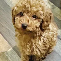 processed/75569565-69f0-4e6a-89c1-42c954f6c115/facility/1ef3ca05-c399-44b3-b9e3-bce695c96508