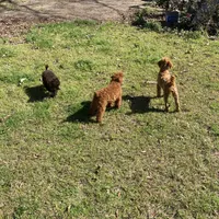 processed/75569565-69f0-4e6a-89c1-42c954f6c115/facility/25b1a61b-4bcd-426d-9e72-f4e89379ddaa