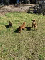 processed/75569565-69f0-4e6a-89c1-42c954f6c115/facility/25b1a61b-4bcd-426d-9e72-f4e89379ddaa