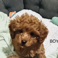 processed/75569565-69f0-4e6a-89c1-42c954f6c115/facility/2dad56e4-e35c-4a2a-afee-3a2348fc518a