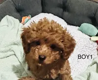 processed/75569565-69f0-4e6a-89c1-42c954f6c115/facility/2dad56e4-e35c-4a2a-afee-3a2348fc518a