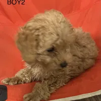 processed/75569565-69f0-4e6a-89c1-42c954f6c115/facility/33df6e54-5477-45cb-8989-821a5d007524