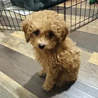 processed/75569565-69f0-4e6a-89c1-42c954f6c115/facility/43fd366d-f2f8-431e-91bf-4a7addf5ca80