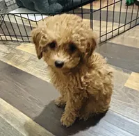 processed/75569565-69f0-4e6a-89c1-42c954f6c115/facility/43fd366d-f2f8-431e-91bf-4a7addf5ca80