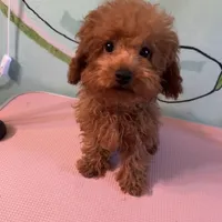 processed/75569565-69f0-4e6a-89c1-42c954f6c115/facility/4dbbac54-0377-47d8-a059-7c3bef8581cc