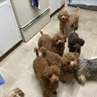 processed/75569565-69f0-4e6a-89c1-42c954f6c115/facility/5ac900d2-af56-45bf-95a7-ed64ed1e104e