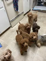 processed/75569565-69f0-4e6a-89c1-42c954f6c115/facility/5ac900d2-af56-45bf-95a7-ed64ed1e104e