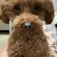 processed/75569565-69f0-4e6a-89c1-42c954f6c115/facility/7114dbd5-dc6e-4c96-9911-c26c14d386bf