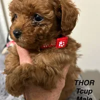 processed/75569565-69f0-4e6a-89c1-42c954f6c115/facility/e4b785d3-d14a-424b-a395-b327d00b3db6