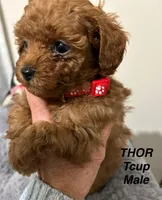 processed/75569565-69f0-4e6a-89c1-42c954f6c115/facility/e4b785d3-d14a-424b-a395-b327d00b3db6