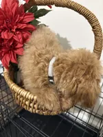 Pup3 (silver collar) AKC , a female Poodle - Toy  for sale in Augusta, GA – 6 of 6